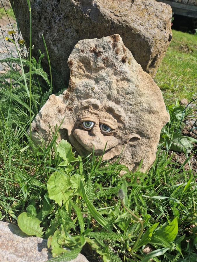 Les Cabanes Feeriques Du Cheix Saint-Diery Bagian luar foto